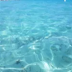 Panamar