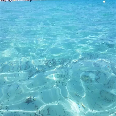 Panamar