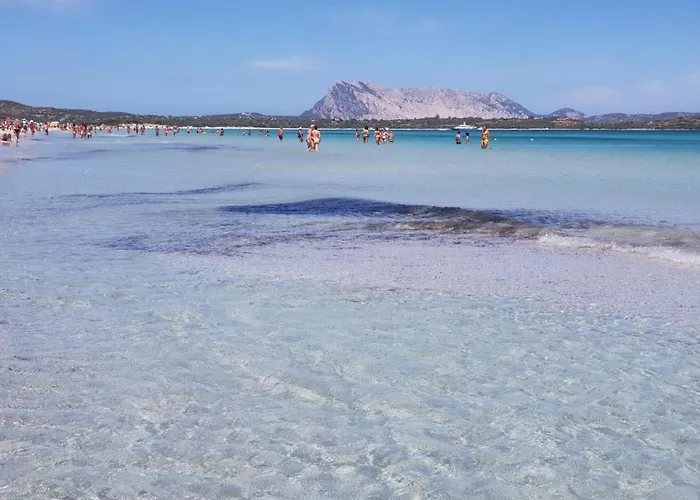 Panamar * 圣特奥多罗