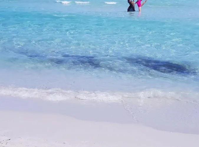 Panamar سان تيودورو