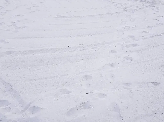 Panamar 度假居 圣特奥多罗