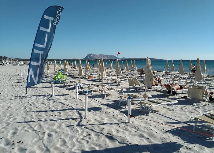 Panamar 圣特奥多罗